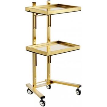 Professional Salon Beauty Makeup Storage Trolley for  Salon